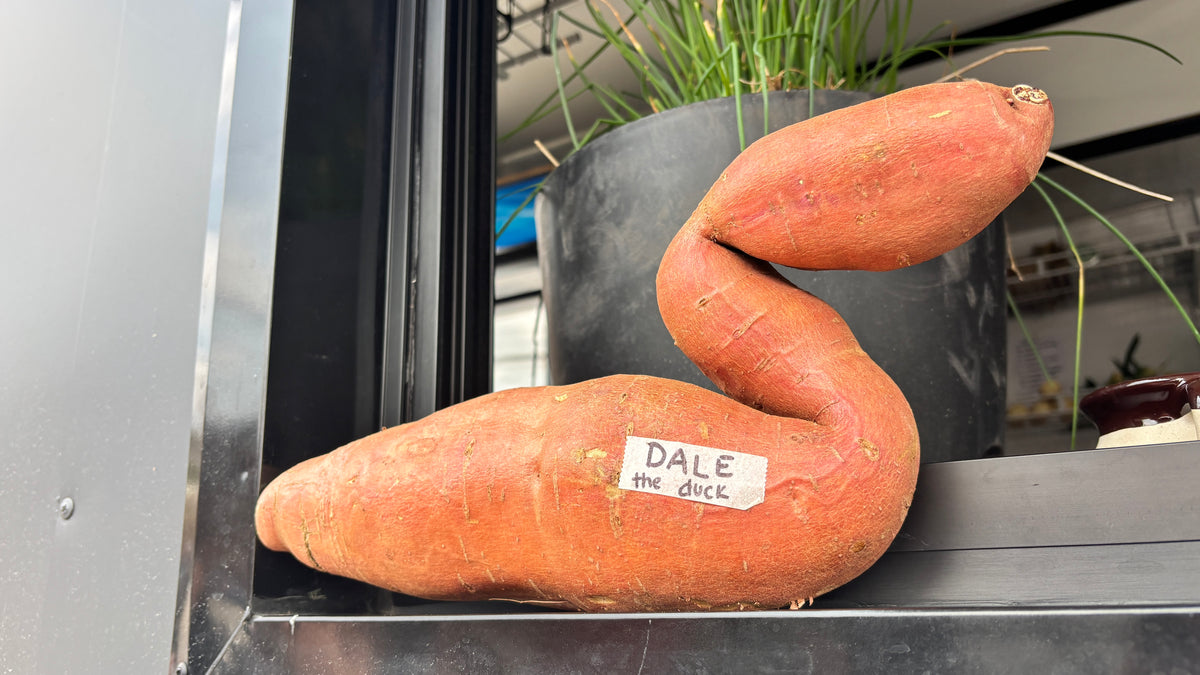 Sweet Potatoes OG - RO