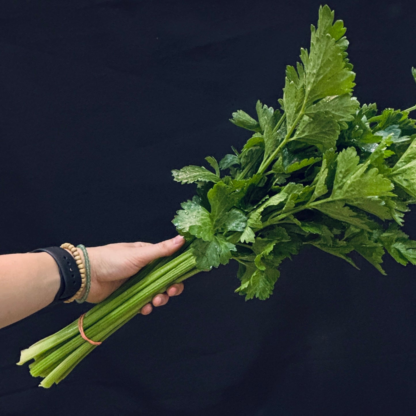 Celery - Phelps Farm