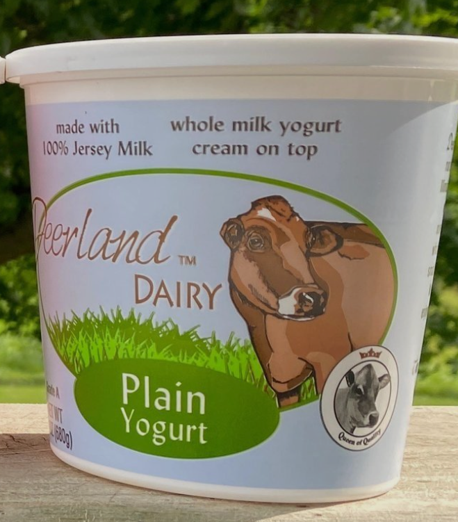 Yogurt 24oz - DD