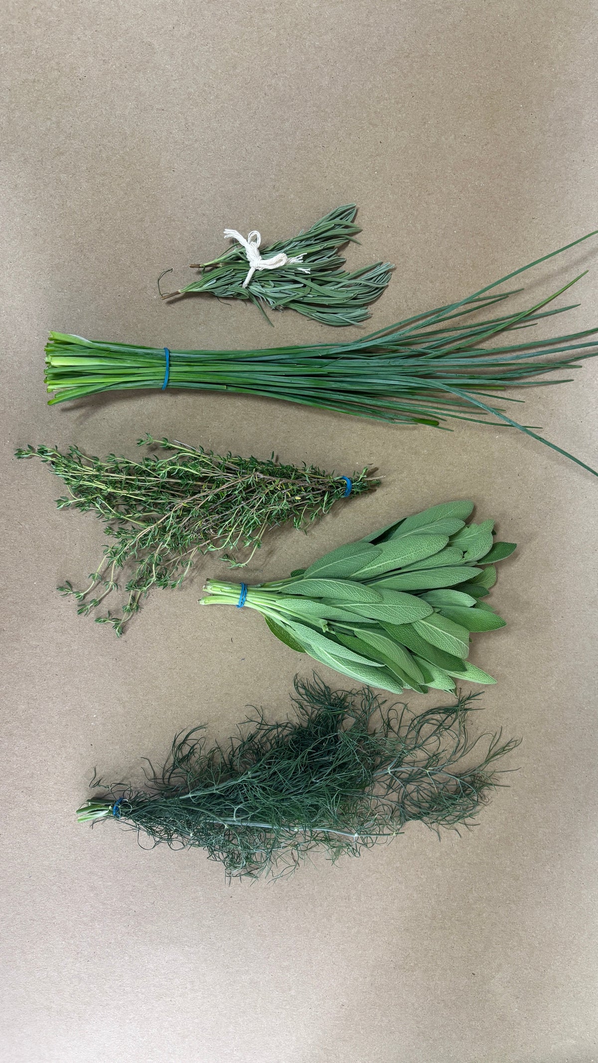 Herbs, Spices, & Sauces