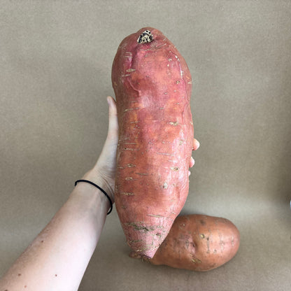 Sweet Potatoes OG - RO