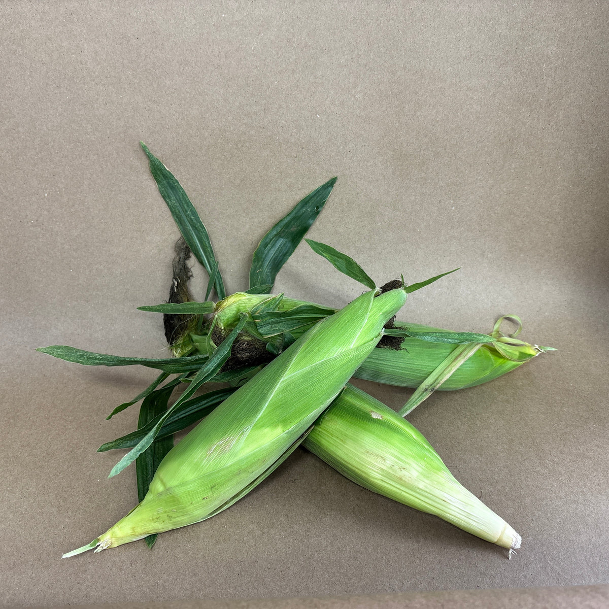 Sweet Corn - FSC