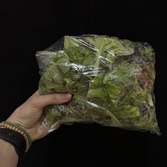 Spring Mix - Phelps Farm